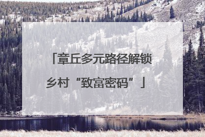 章丘多元路径解锁乡村“致富密码”