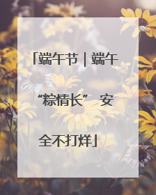 端午节｜端午“粽情长” 安全不打烊