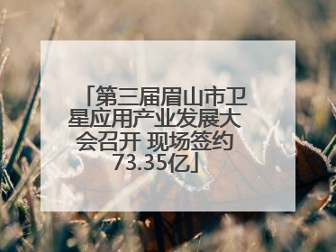 第三届眉山市卫星应用产业发展大会召开 现场签约73.35亿