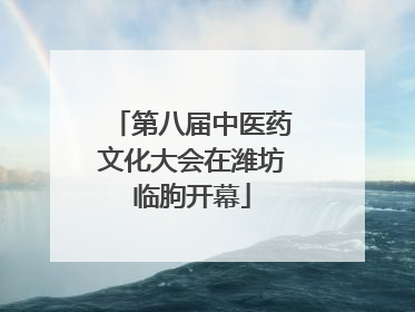 第八届中医药文化大会在潍坊临朐开幕
