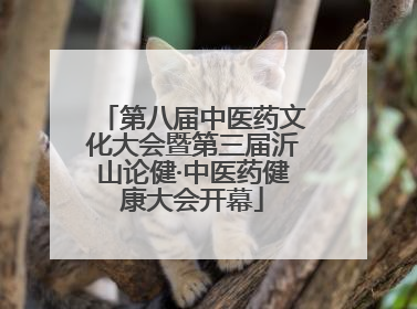 第八届中医药文化大会暨第三届沂山论健·中医药健康大会开幕
