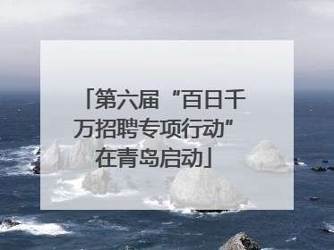 第六届“百日千万招聘专项行动”在青岛启动