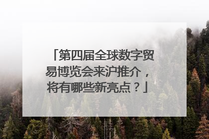 第四届全球数字贸易博览会来沪推介，将有哪些新亮点？