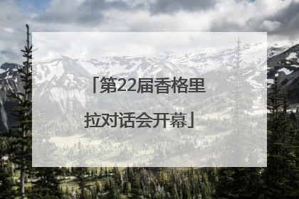 第22届香格里拉对话会开幕
