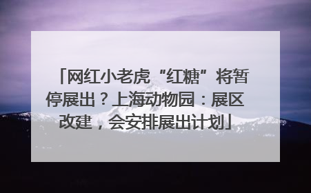 网红小老虎“红糖”将暂停展出？上海动物园：展区改建，会安排展出计划