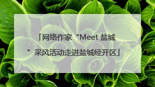 网络作家“Meet 盐城”采风活动走进盐城经开区