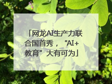 网龙AI生产力联合国首秀，“AI+教育”大有可为