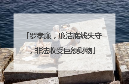 罗孝廉，廉洁底线失守，非法收受巨额财物