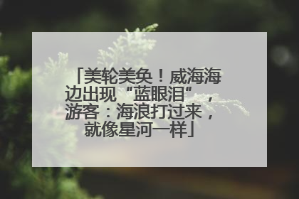 美轮美奂！威海海边出现“蓝眼泪”，游客：海浪打过来，就像星河一样