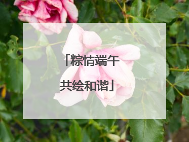 粽情端午 共绘和谐