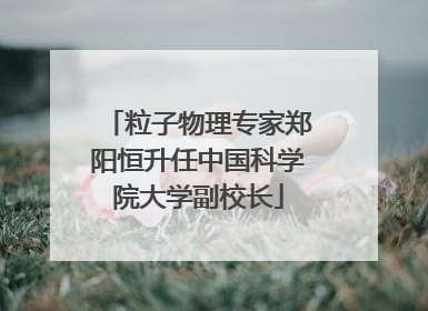 粒子物理专家郑阳恒升任中国科学院大学副校长