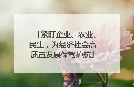 紧盯企业、农业、民生，为经济社会高质量发展保驾护航