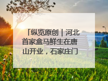 纵览原创｜河北首家盒马鲜生在唐山开业，石家庄门店预计8月开业
