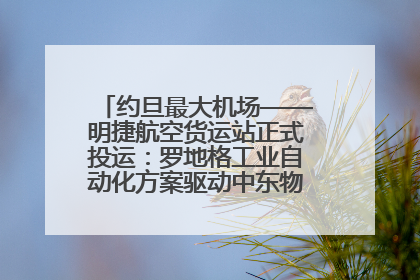 约旦最大机场——明捷航空货运站正式投运：罗地格工业自动化方案驱动中东物流未来新航向