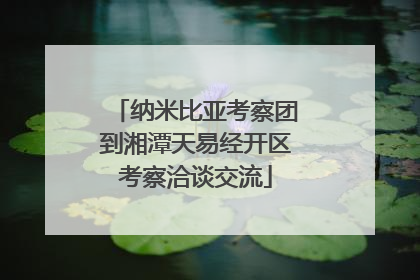 纳米比亚考察团到湘潭天易经开区考察洽谈交流