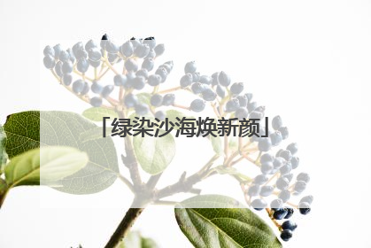 绿染沙海焕新颜