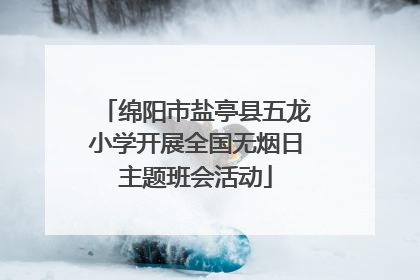 绵阳市盐亭县五龙小学开展全国无烟日主题班会活动
