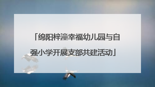 绵阳梓潼幸福幼儿园与自强小学开展支部共建活动