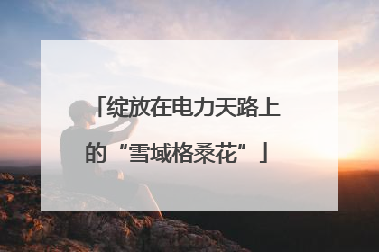 绽放在电力天路上的“雪域格桑花”