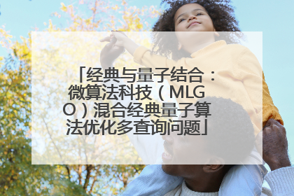 经典与量子结合：微算法科技（MLGO）混合经典量子算法优化多查询问题