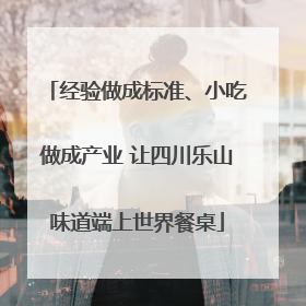 经验做成标准、小吃做成产业 让四川乐山味道端上世界餐桌