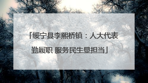 绥宁县李熙桥镇：人大代表勤履职 服务民生显担当