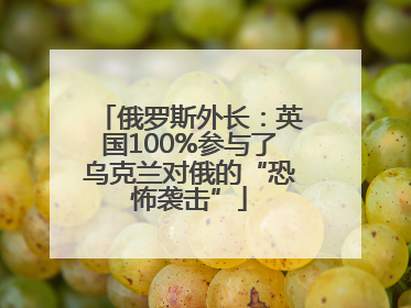 俄罗斯外长：英国100%参与了乌克兰对俄的“恐怖袭击”