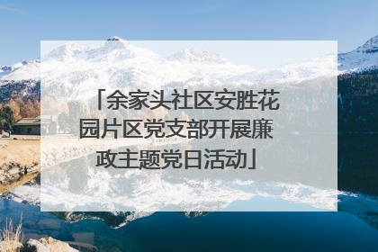 余家头社区安胜花园片区党支部开展廉政主题党日活动