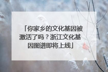 你家乡的文化基因被激活了吗？浙江文化基因图谱即将上线
