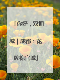 你好，双拥城｜成都：花簇锦官城