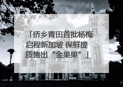 侨乡青田首批杨梅启程新加坡 保鲜提质售出“金果果”