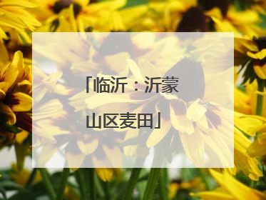临沂：沂蒙山区麦田