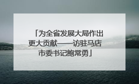 为全省发展大局作出更大贡献——访驻马店市委书记鲍常勇