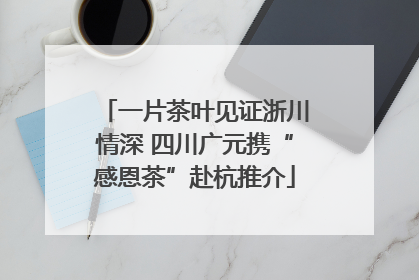 一片茶叶见证浙川情深 四川广元携“感恩茶”赴杭推介