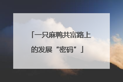 一只麻鸭共富路上的发展“密码”