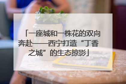 一座城和一株花的双向奔赴——西宁打造“丁香之城”的生态掠影