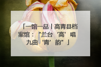 一馆一品丨高青县档案馆：“兰台‘高’唱 九曲‘青’韵”