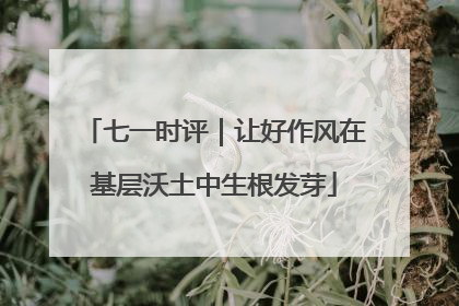 七一时评｜让好作风在基层沃土中生根发芽