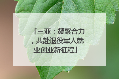 三亚：凝聚合力，共赴退役军人就业创业新征程