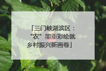 三门峡湖滨区：“农”墨重彩绘就乡村振兴新画卷