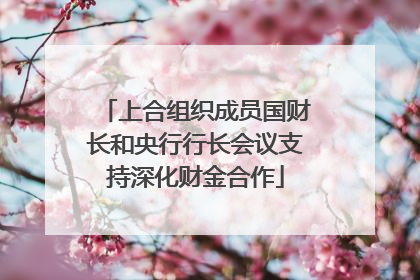 上合组织成员国财长和央行行长会议支持深化财金合作