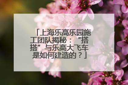 上海乐高乐园施工团队揭秘：“搭搭”与乐高大飞车是如何建造的？