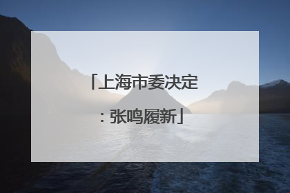 上海市委决定：张鸣履新
