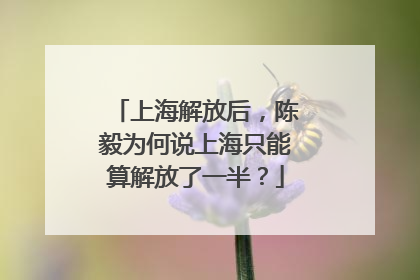上海解放后，陈毅为何说上海只能算解放了一半？
