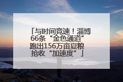 与时间竞速！淄博66条“金色通道”跑出156万亩夏粮抢收“加速度”