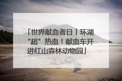 世界献血者日丨环湖“超”热血！献血车开进红山森林动物园