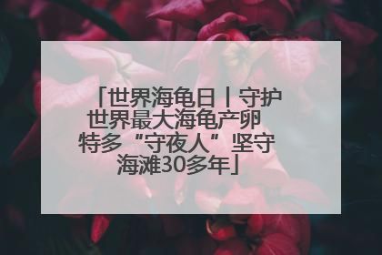 世界海龟日丨守护世界最大海龟产卵 特多“守夜人”坚守海滩30多年