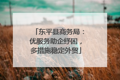 东平县商务局：优服务助企纾困，多措施稳定外贸