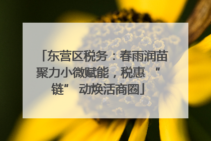 东营区税务：春雨润苗聚力小微赋能，税惠 “链” 动焕活商圈