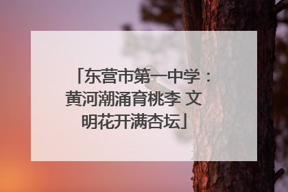 东营市第一中学：黄河潮涌育桃李 文明花开满杏坛